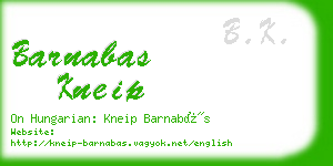 barnabas kneip business card